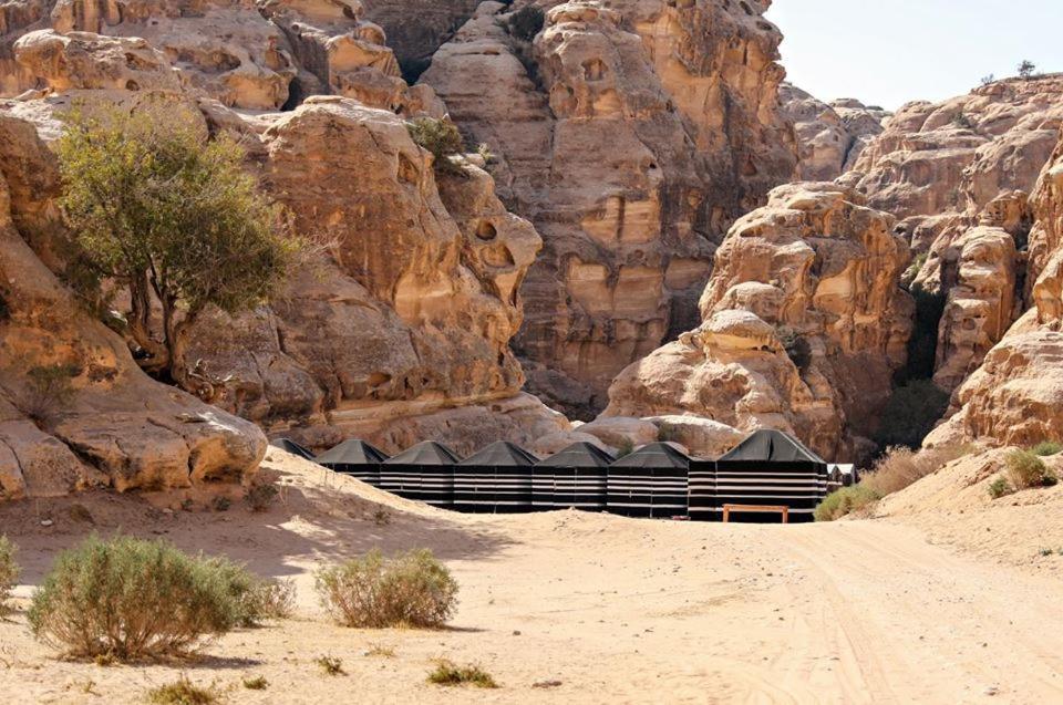 Hotel Ammarin Bedouin Camp Wadi Musa Exterior foto