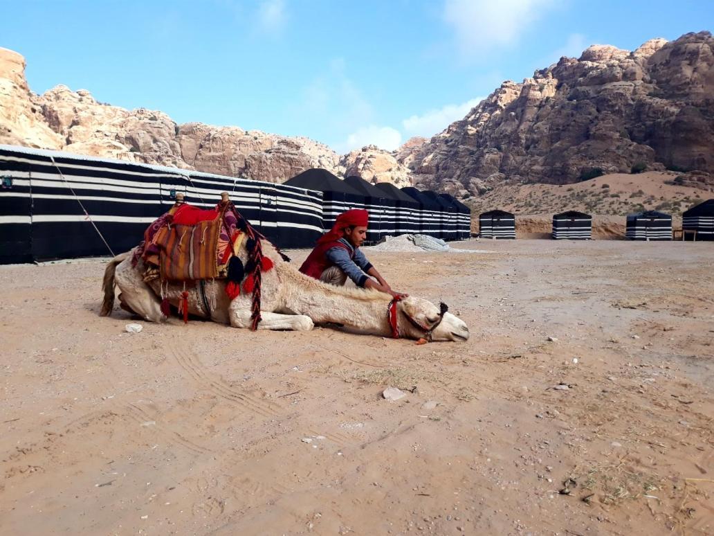 Hotel Ammarin Bedouin Camp Wadi Musa Exterior foto