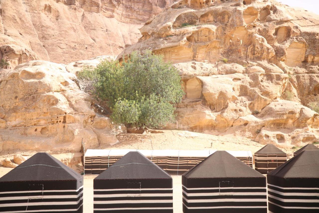 Hotel Ammarin Bedouin Camp Wadi Musa Exterior foto